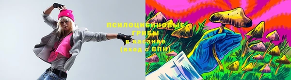 стаф Бородино