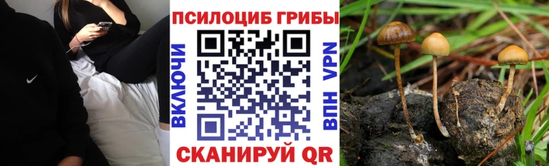 Купить  Собинка  Псилоцибиновые грибы мухоморы 